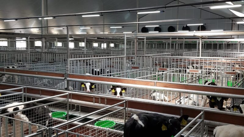 北京直播电商售后规范：合规之路，卖家必知要点